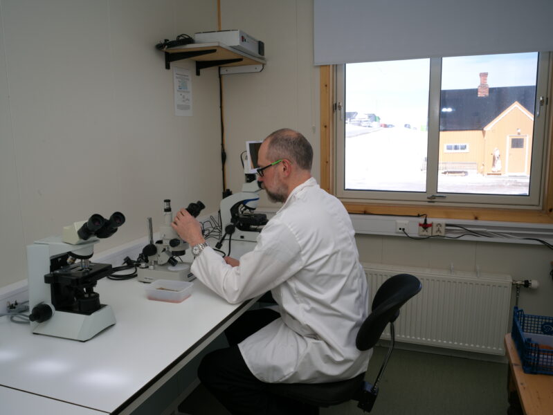 Arctic Station laboratory - British Antarctic Survey