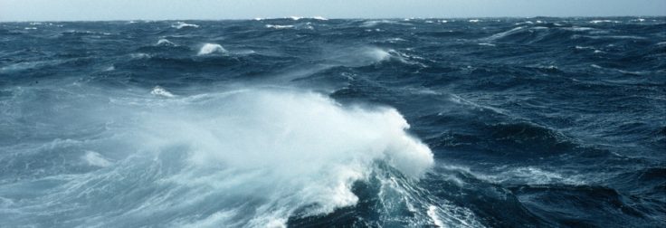 A man riding a wave in the ocean.