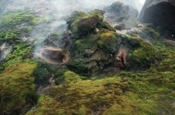 A rocky mountain with trees in the background.