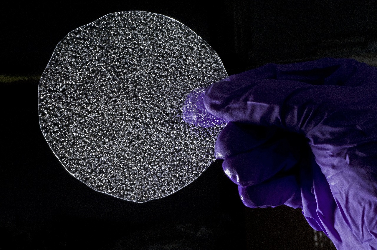 A close up of a purple flower.