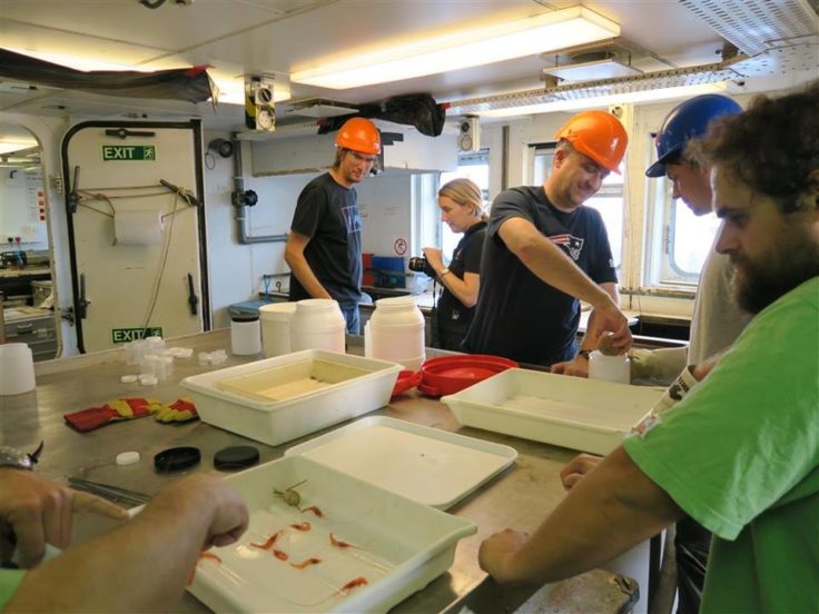 AIMS Project scientists working in the wet laboratory on-board RRS James Clark Ross