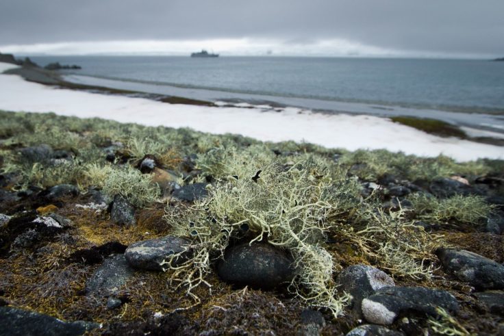 A rocky beach next to a body of water.