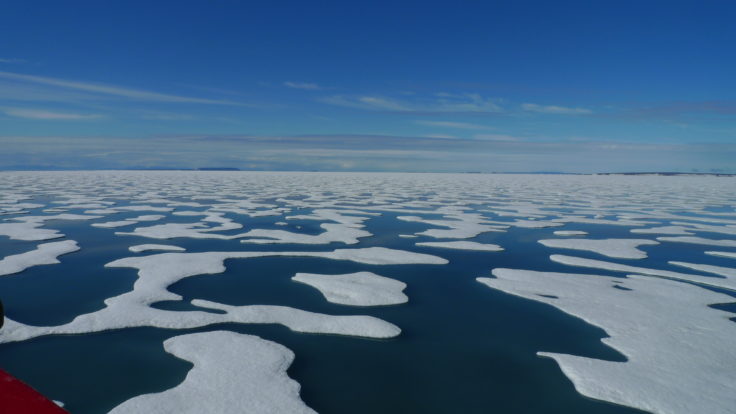 Sea ice in the Arctic Ocean (Theo Wilson, University of Leeds)