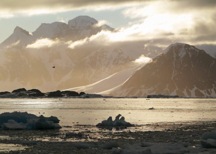 View across Ryder Bay from Rothera Point.