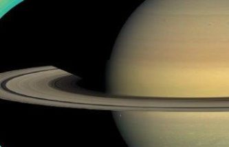Saturn's radiation belts