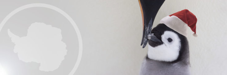 Christmas banner 2015