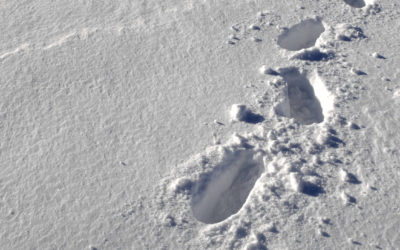 footprints in the snow alongside Reptile Ridge