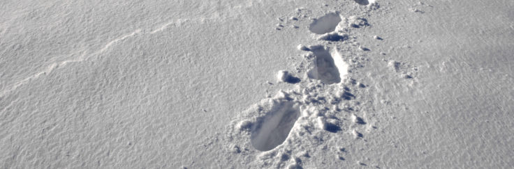 footprints in the snow alongside Reptile Ridge