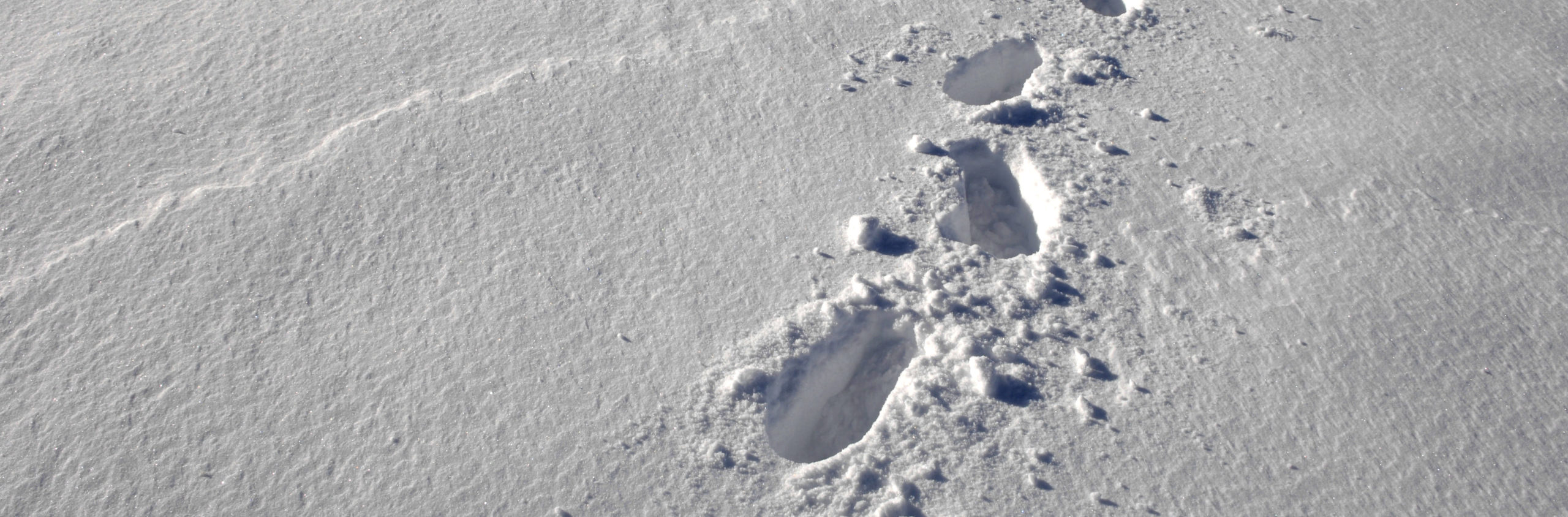 footprints in the snow alongside Reptile Ridge