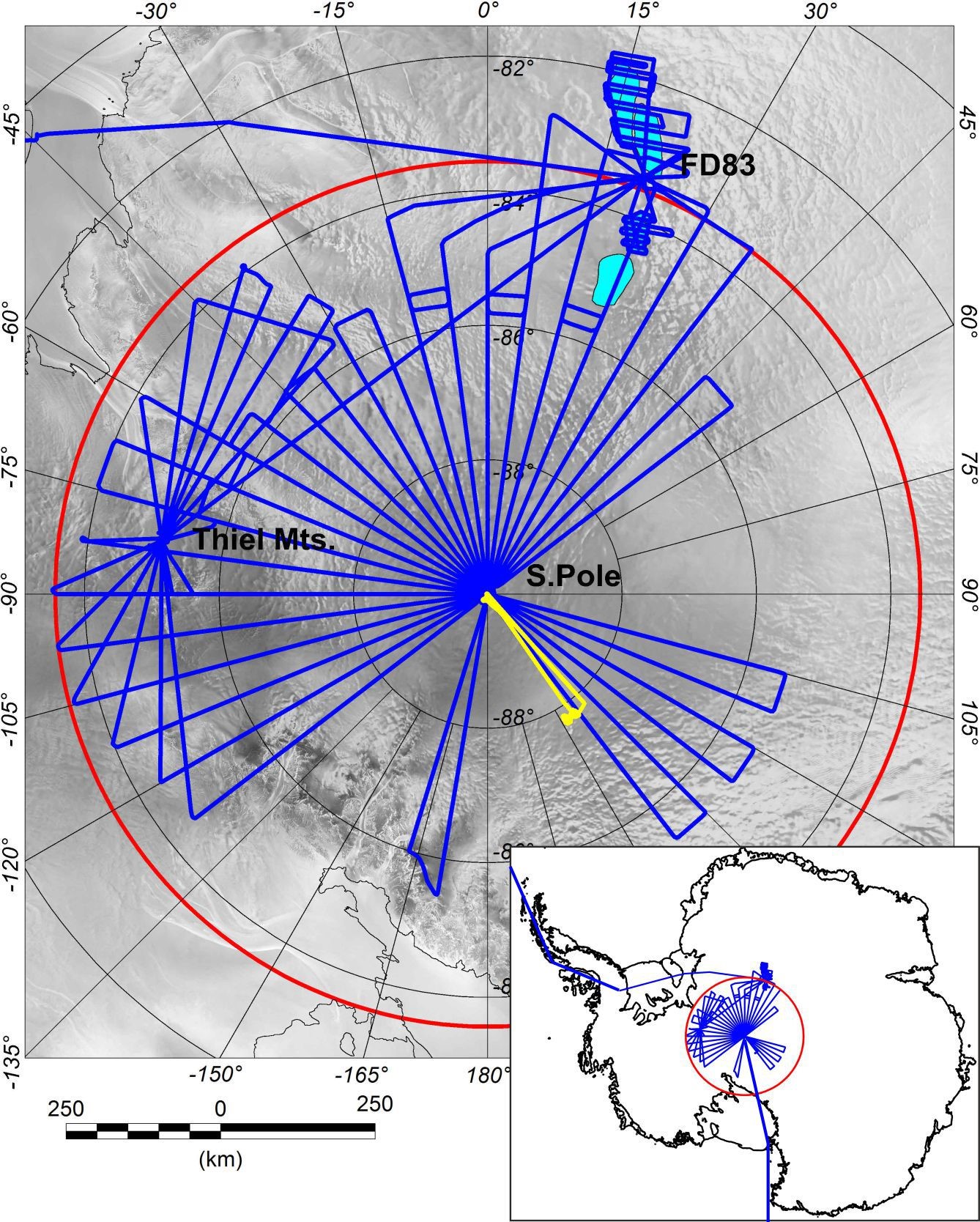 Chart, radar chart.