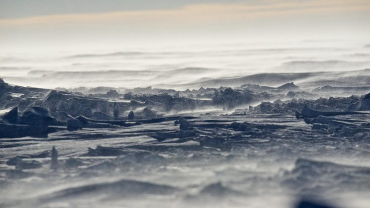 A large body of water.