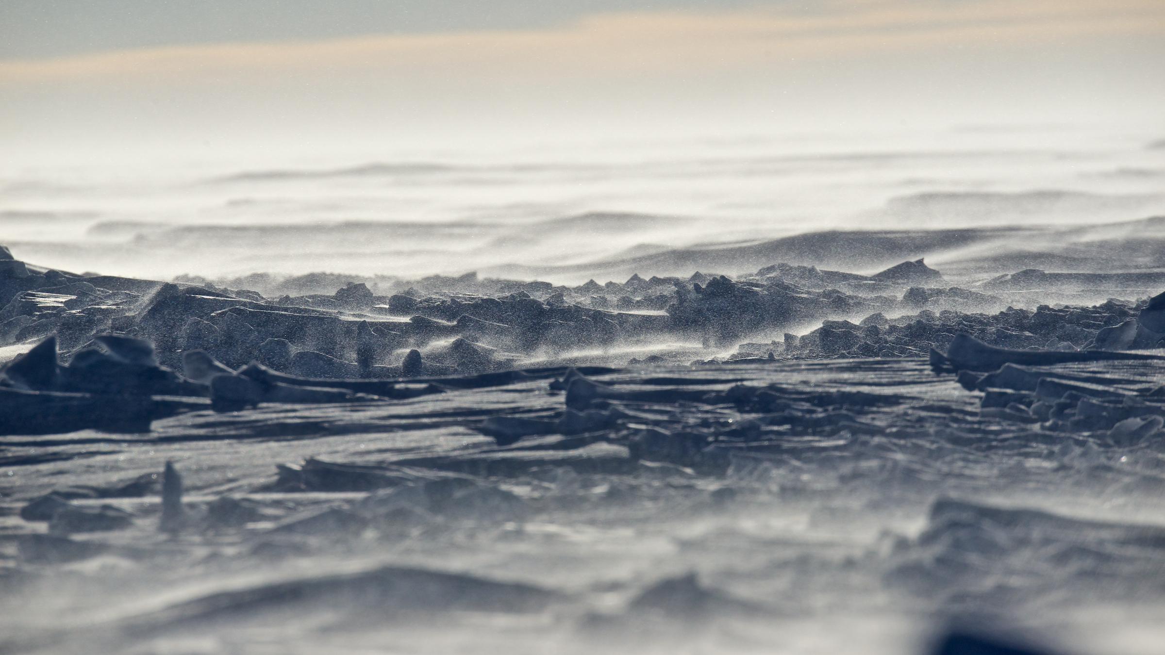 A large body of water.