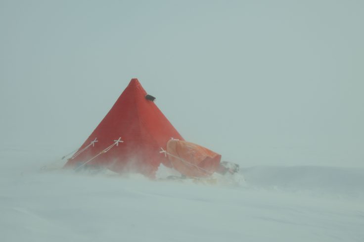 High winds and drifting snow make going outside difficult