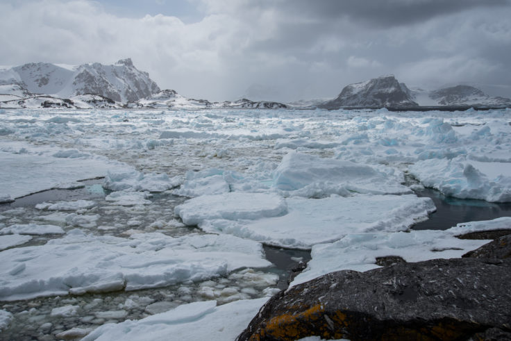 View of pack ice from Bernsten Point with Signy Island (Robin Peak) on the left and Coronation Island on the right 