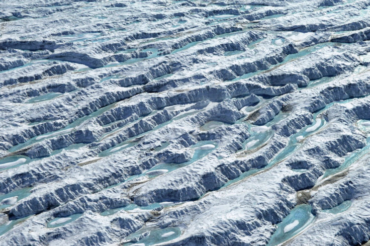 A close up of a snow covered slope.