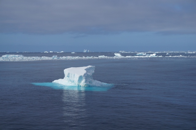 Icebergs and broken sea ice