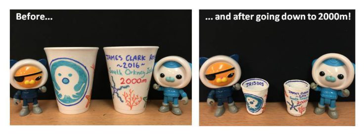 Polystyrene cups before & after we sent them 2000m deep, attached to one of our sampling instruments.