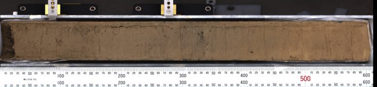 The uppermost section of a sediment core recovered from a submarine mount in the Amundsen Sea, West Antarctica. Scale bar is in mm 