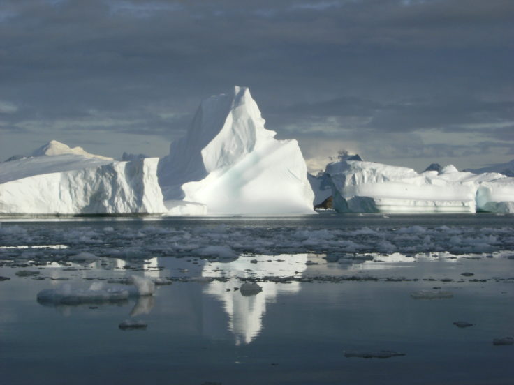 Icebergs calved off the glaciers in Marguerite Bay