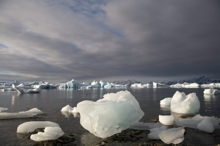 A large body of water.