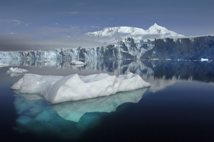 Iceberg in Antarctica