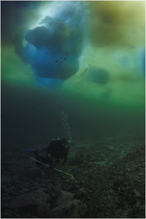 A diver investigates the seafloor in Ryder Bay near Rothera station, Antarctic Peninsula. An iceberg can be seen overhead.