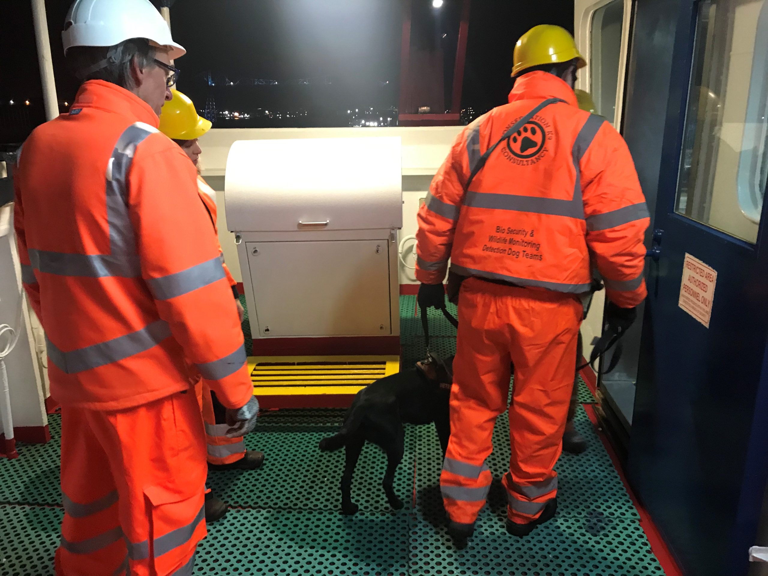 Rodent detection dogs check the cargo on the Billesborg in Teesport in the UK