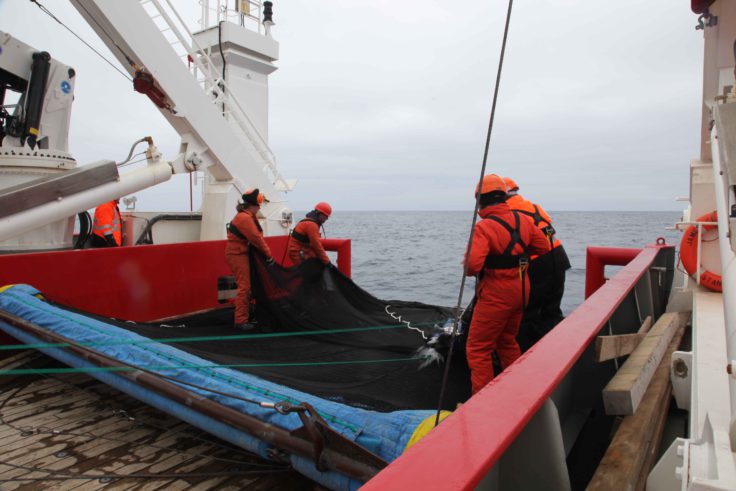 Hauling in a large trawl net, used to capture lanternfish