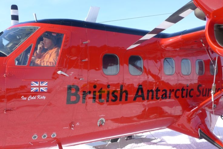 A close up of a plane.