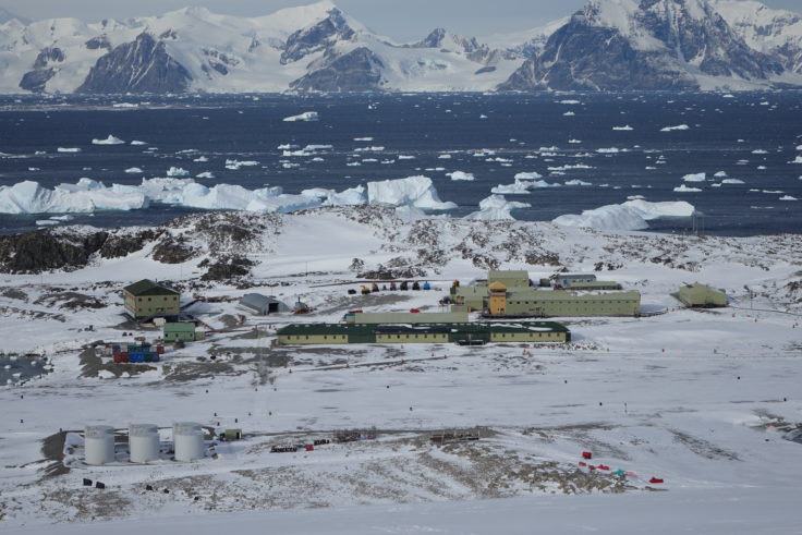 A flock of seagulls standing on a snow covered mountain.