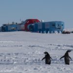 Penguins in a snowy landsscape in front of a research station