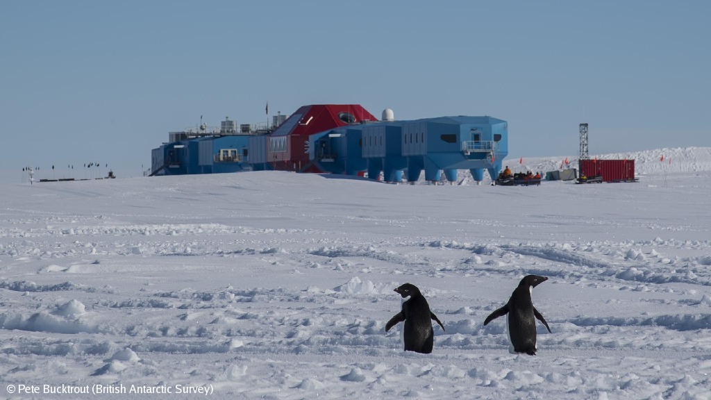 Penguins in a snowy landsscape in front of a research station