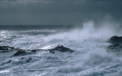 South-westerly gale at Bird Island