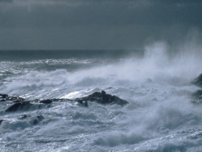 South-westerly gale at Bird Island