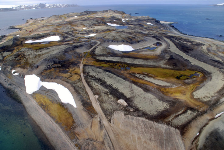 An aerial view of Ardley Island, SOuth Shetland Islands.