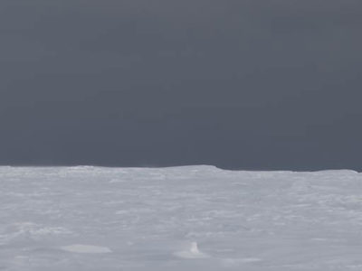 GPR survey on the Brunt Ice Shelf