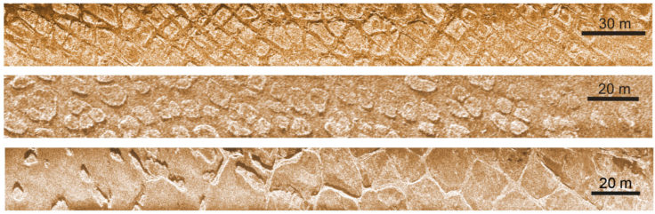 Frost Polygons in the Laptev Sea of Russia