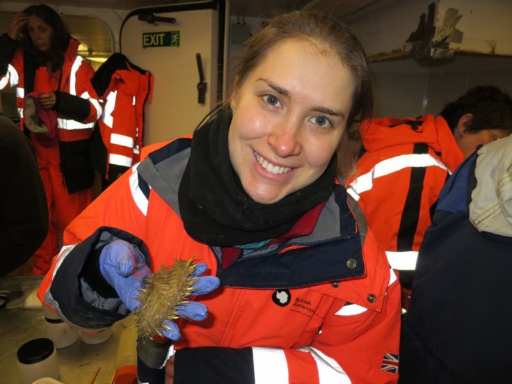 Maddie Brasier with Laetmonice – the largest polychaete found on this cruise.