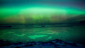 A fish swimming under water.