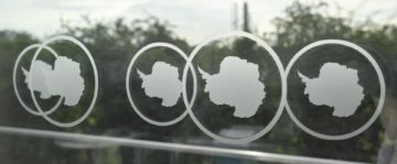 A close up of sunglasses.