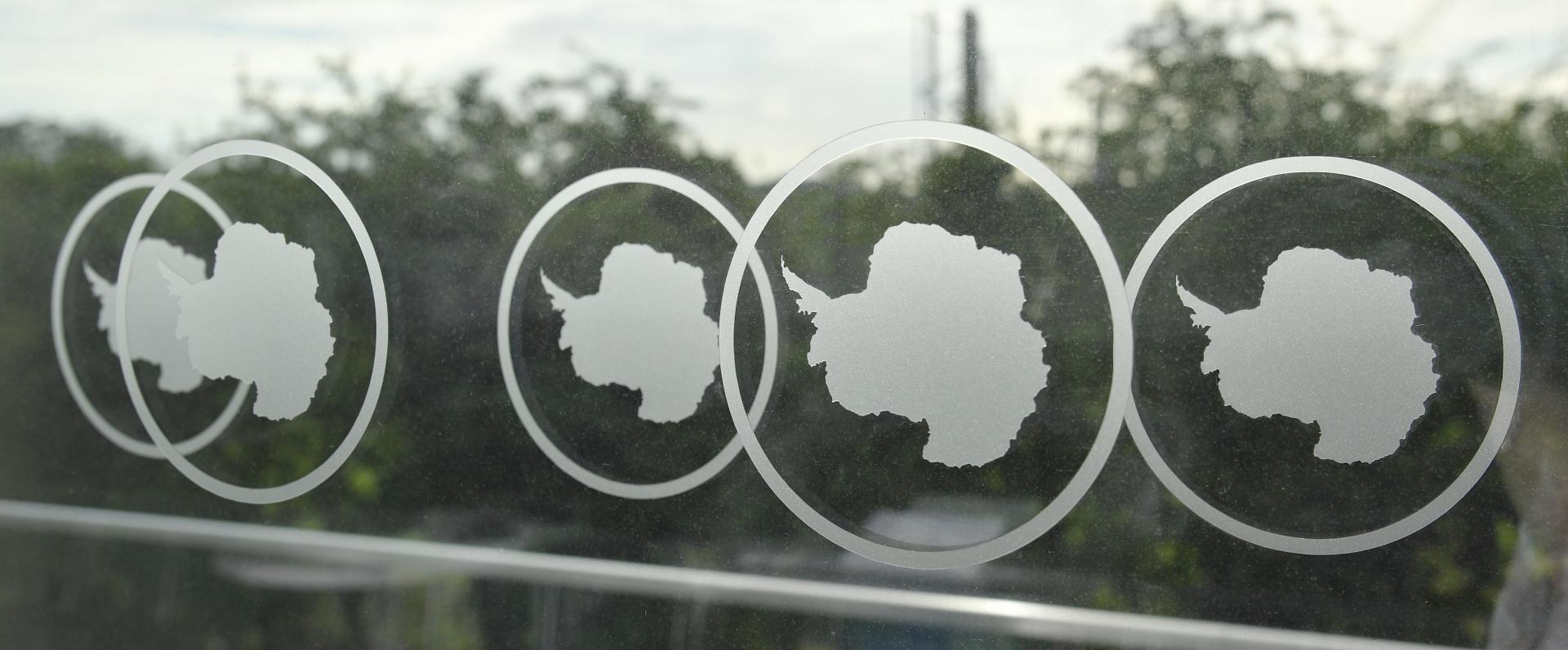 A close up of sunglasses.