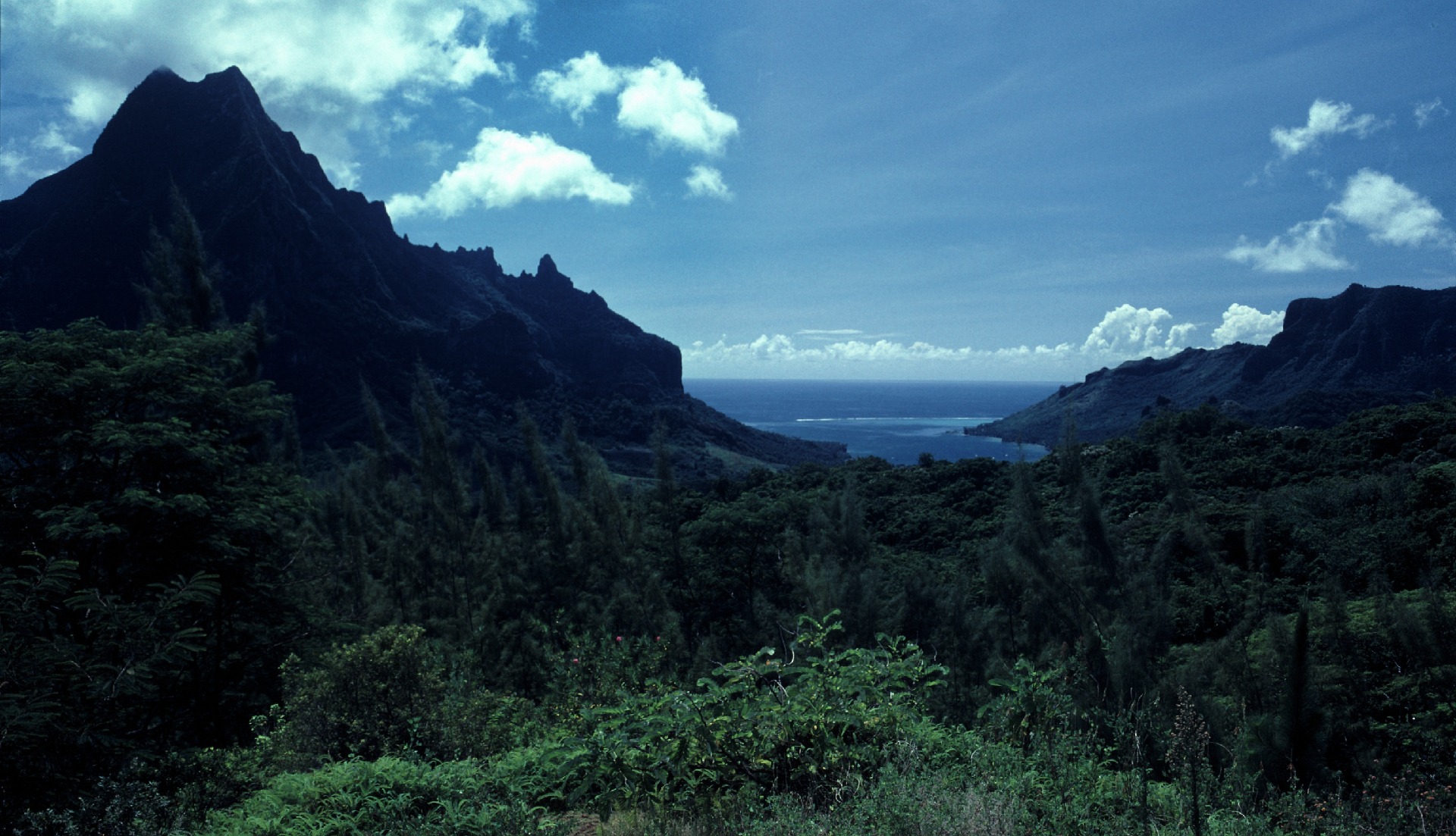 A view of a mountain.
