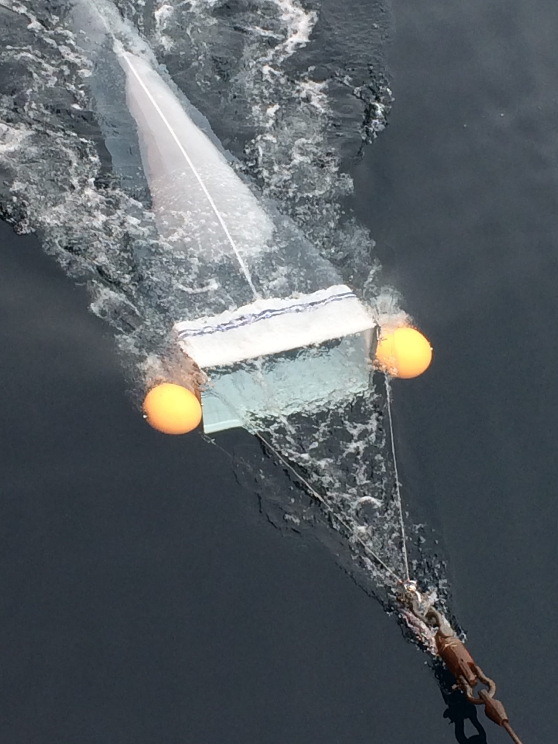 A net being dragged though the water