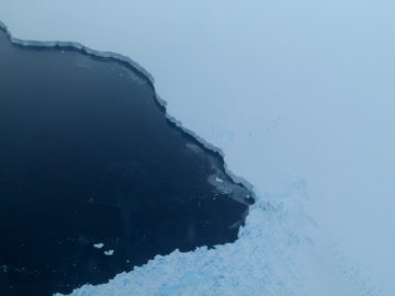 Water next to the ocean.