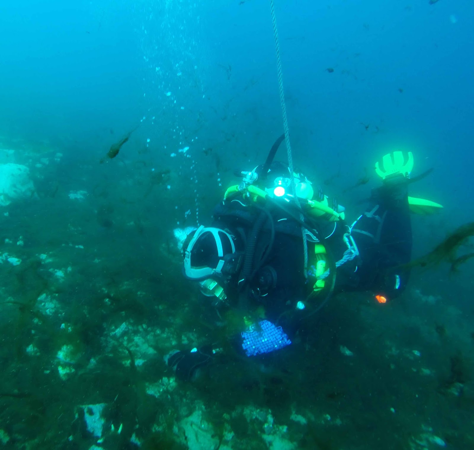 A boat in the water.