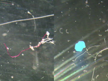 Tiny pieces of plastic floating in water
