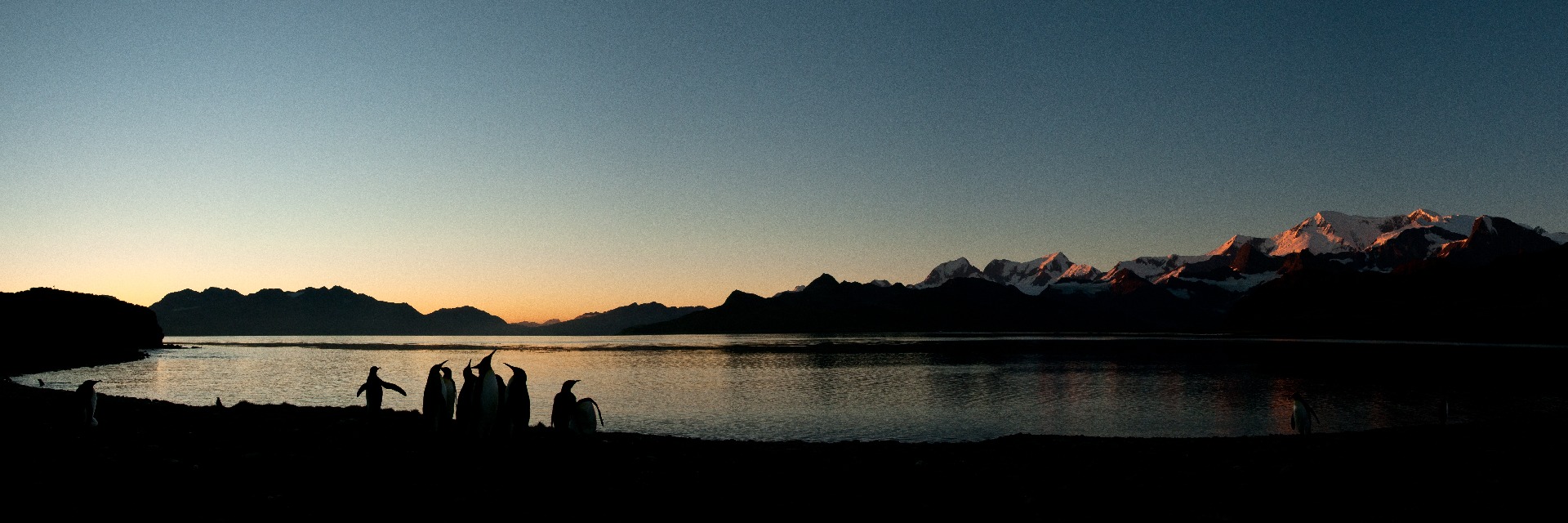 A group of people standing next to a body of water.
