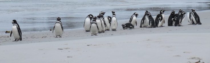 A group of people on a beach near a body of water.