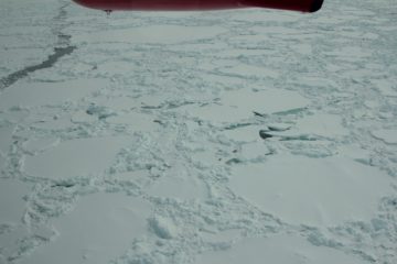 A close up of a snow covered mountain.