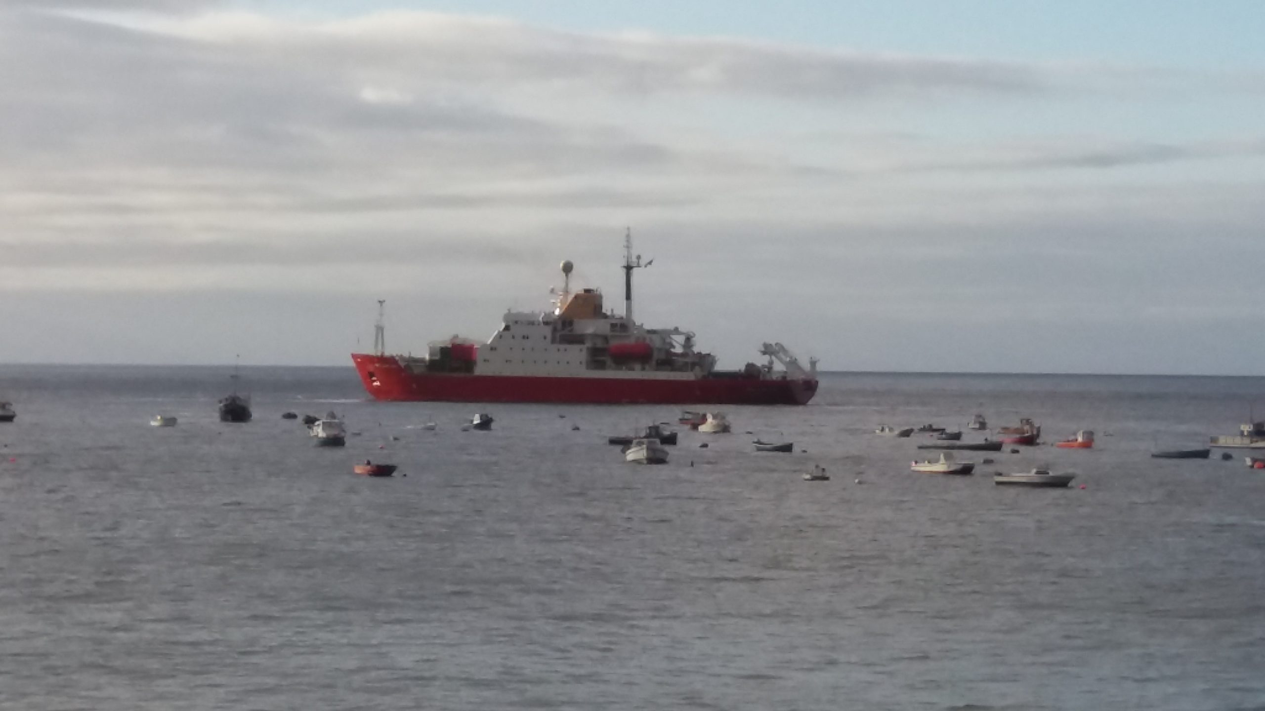 A small boat in a body of water.